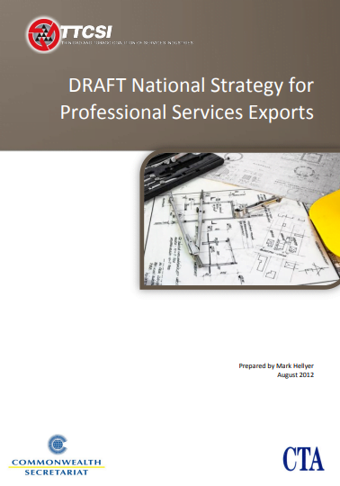 Draft Strategy for Professional Services